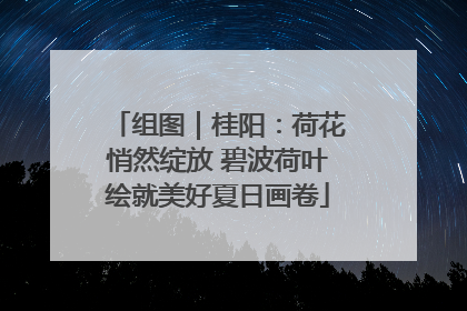 组图｜桂阳：荷花悄然绽放 碧波荷叶绘就美好夏日画卷