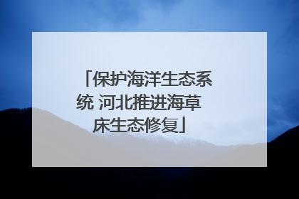 保护海洋生态系统 河北推进海草床生态修复