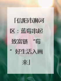信阳市浉河区：蓝莓串起致富链 “莓”好生活入画来