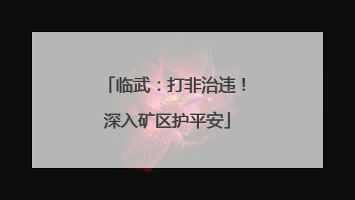 临武：打非治违！深入矿区护平安