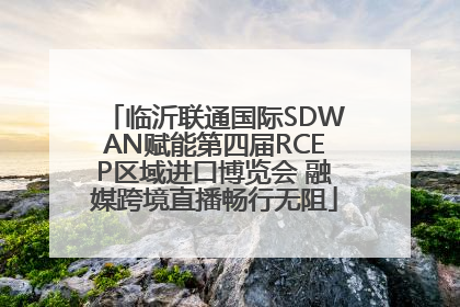 临沂联通国际SDWAN赋能第四届RCEP区域进口博览会 融媒跨境直播畅行无阻