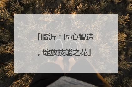 临沂：匠心智造，绽放技能之花
