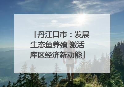 丹江口市：发展生态鱼养殖 激活库区经济新动能