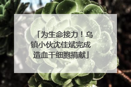 为生命接力！乌镇小伙沈佳斌完成造血干细胞捐献