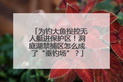 为钓大鱼操控无人艇进保护区！洞庭湖禁捕区怎么成了“垂钓场”？
