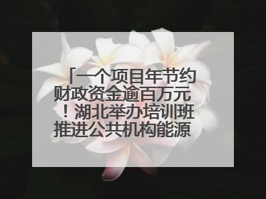 一个项目年节约财政资金逾百万元！湖北举办培训班推进公共机构能源费用托管工作