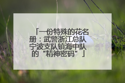 一份特殊的花名册：武警浙江总队宁波支队镇海中队的“精神密码”