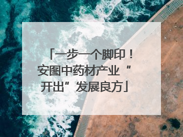 一步一个脚印！安图中药材产业“开出”发展良方