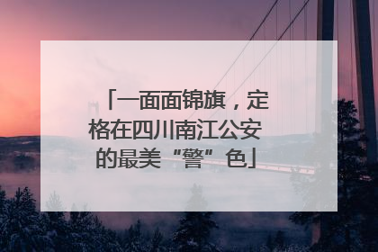 一面面锦旗，定格在四川南江公安的最美“警”色