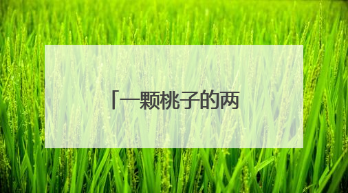一颗桃子的两岸融合之路