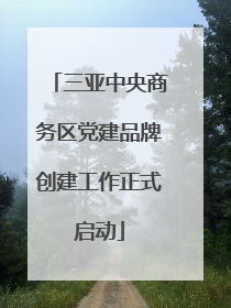三亚中央商务区党建品牌创建工作正式启动