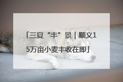 三夏“丰”景｜顺义15万亩小麦丰收在即