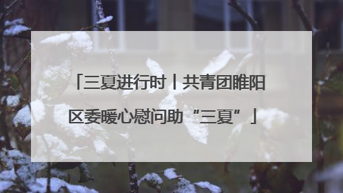 三夏进行时丨共青团睢阳区委暖心慰问助“三夏”
