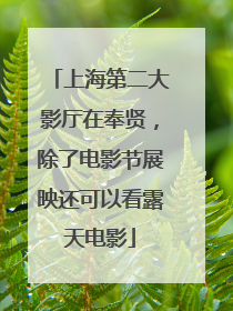 上海第二大影厅在奉贤，除了电影节展映还可以看露天电影