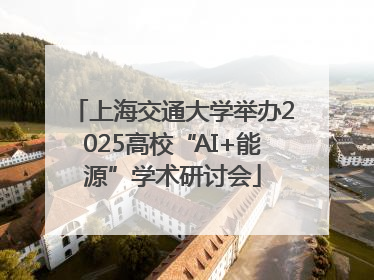 上海交通大学举办2025高校“AI+能源”学术研讨会