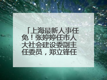 上海最新人事任免！张婷婷任市人大社会建设委副主任委员，郑立锋任市监察委委员