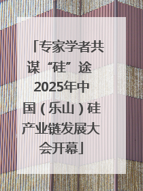 专家学者共谋“硅”途 2025年中国（乐山）硅产业链发展大会开幕