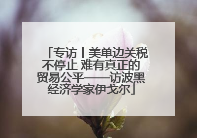 专访丨美单边关税不停止 难有真正的贸易公平——访波黑经济学家伊戈尔