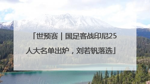 世预赛｜国足客战印尼25人大名单出炉，刘若钒落选