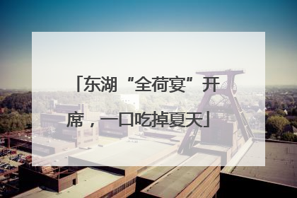 东湖“全荷宴”开席，一口吃掉夏天