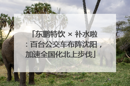 东鹏特饮 × 补水啦：百台公交车布阵沈阳，加速全国化北上步伐