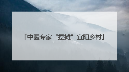 中医专家“摆摊”宜阳乡村