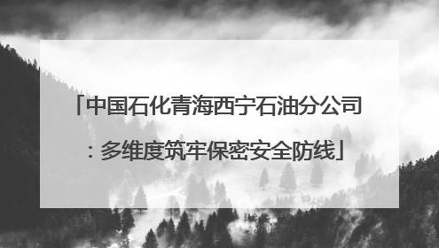 中国石化青海西宁石油分公司：多维度筑牢保密安全防线