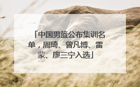 中国男篮公布集训名单，周琦、曾凡博、雷蒙、廖三宁入选