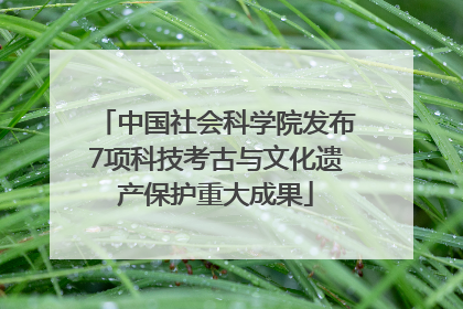 中国社会科学院发布7项科技考古与文化遗产保护重大成果