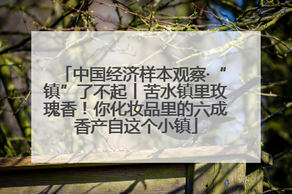 中国经济样本观察·“镇”了不起丨苦水镇里玫瑰香！你化妆品里的六成香产自这个小镇