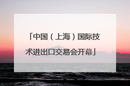 中国（上海）国际技术进出口交易会开幕
