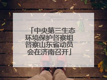 中央第三生态环境保护督察组督察山东省动员会在济南召开