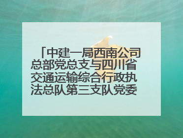 中建一局西南公司总部党总支与四川省交通运输综合行政执法总队第三支队党委、万源市草坝镇莲花院村党支部开展党建联建