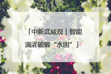 中新武威观｜智能滴灌破解“水困”