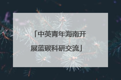中英青年海南开展蓝碳科研交流