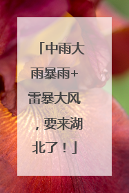 中雨大雨暴雨+雷暴大风，要来湖北了！
