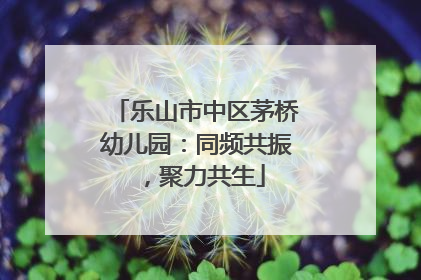 乐山市中区茅桥幼儿园：同频共振，聚力共生