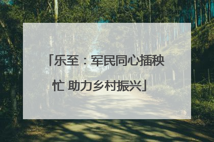 乐至：军民同心插秧忙 助力乡村振兴