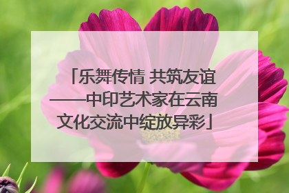 乐舞传情 共筑友谊——中印艺术家在云南文化交流中绽放异彩