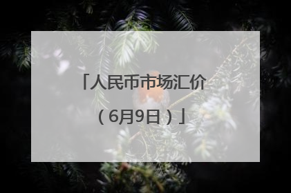人民币市场汇价（6月9日）