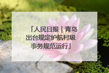 人民日报｜青岛出台规定护航村级事务规范运行