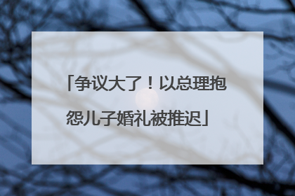争议大了！以总理抱怨儿子婚礼被推迟