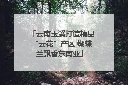 云南玉溪打造精品“云花”产区 蝴蝶兰飘香东南亚