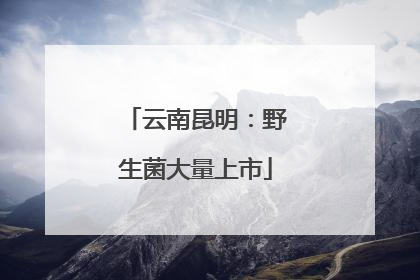 云南昆明：野生菌大量上市