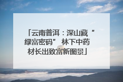 云南普洱：深山藏“绿富密码” 林下中药材长出致富新图景