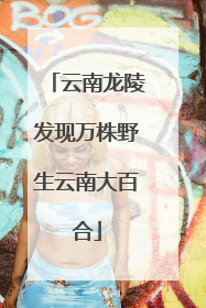 云南龙陵发现万株野生云南大百合