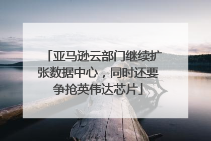 亚马逊云部门继续扩张数据中心，同时还要争抢英伟达芯片