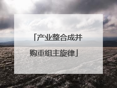 产业整合成并购重组主旋律