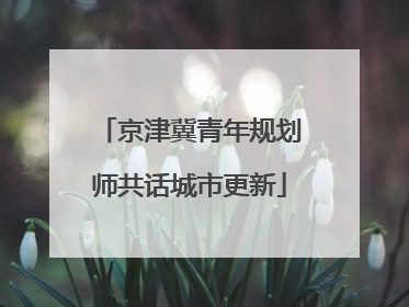 京津冀青年规划师共话城市更新