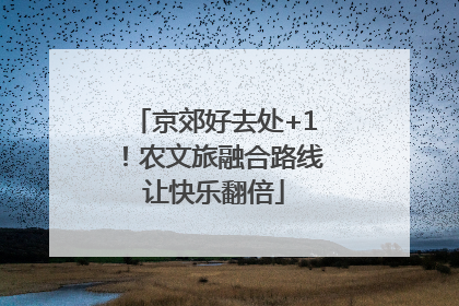 京郊好去处+1！农文旅融合路线让快乐翻倍